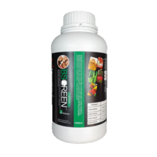 비에스그린오리지날 1000ml